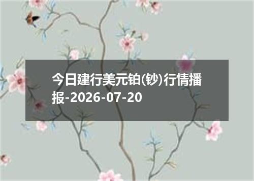 今日建行美元铂(钞)行情播报-2026-07-20