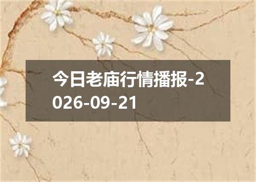今日老庙行情播报-2026-09-21