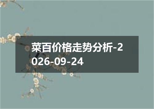 菜百价格走势分析-2026-09-24