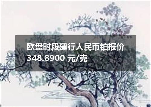 欧盘时段建行人民币铂报价348.8900 元/克