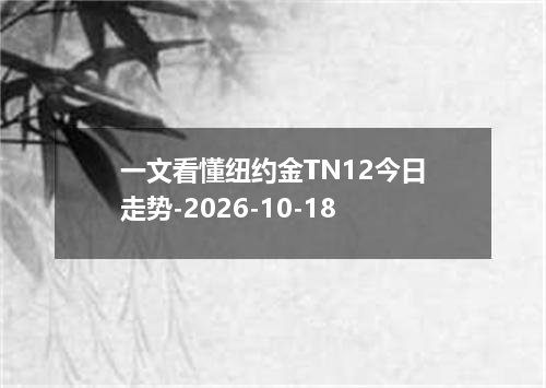 一文看懂纽约金TN12今日走势-2026-10-18