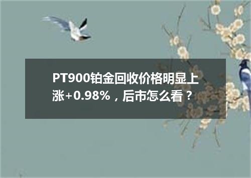PT900铂金回收价格明显上涨+0.98%，后市怎么看？