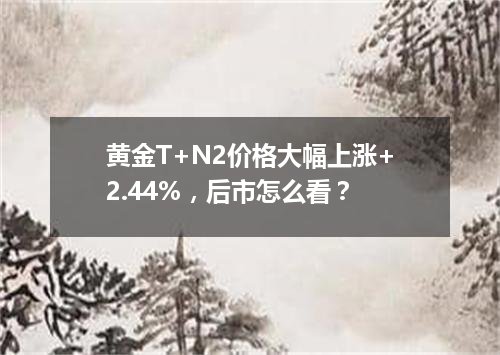 黄金T+N2价格大幅上涨+2.44%，后市怎么看？