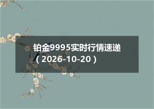铂金9995实时行情速递（2026-10-20）