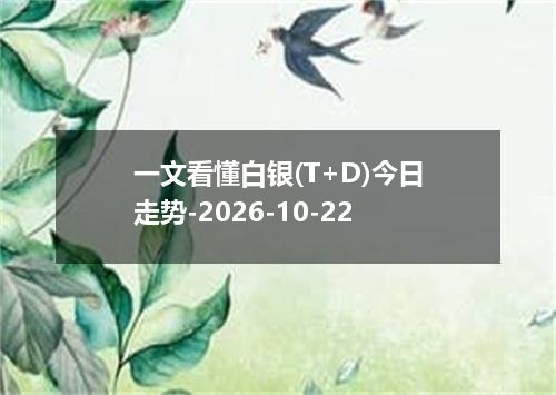 一文看懂白银(T+D)今日走势-2026-10-22
