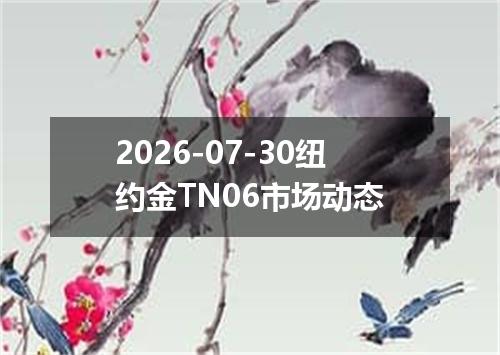 2026-07-30纽约金TN06市场动态