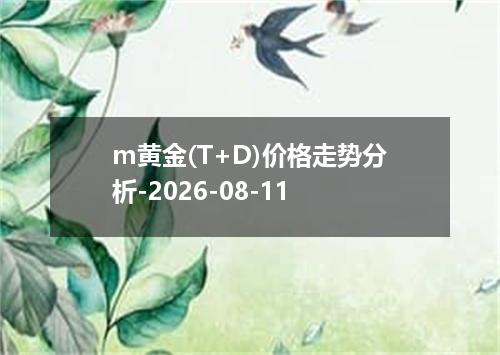 m黄金(T+D)价格走势分析-2026-08-11