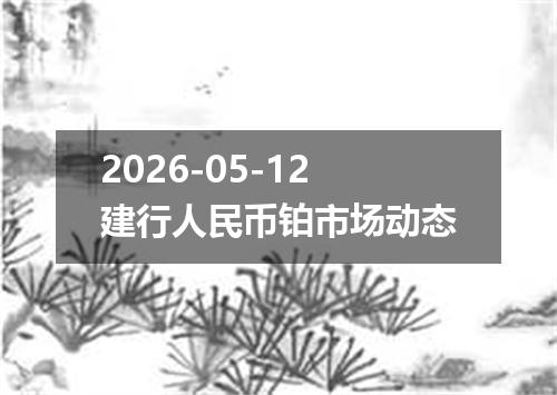 2026-05-12建行人民币铂市场动态