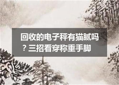 回收的电子秤有猫腻吗？三招看穿称重手脚